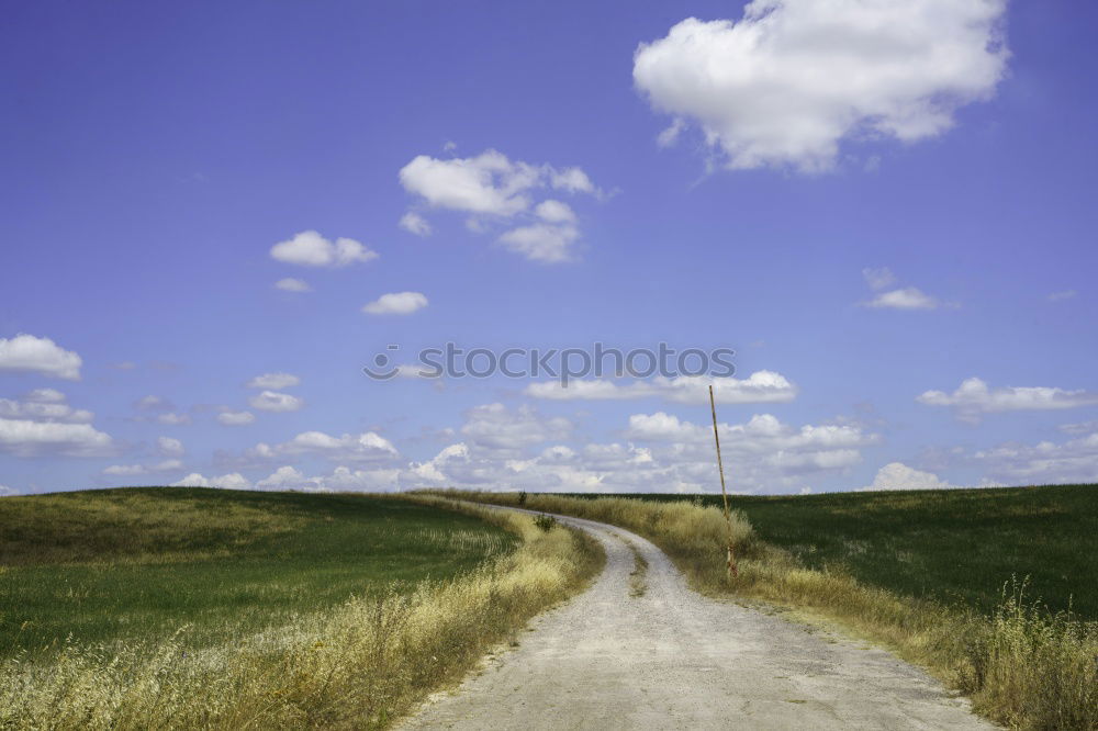 Similar – Image, Stock Photo track marshal Tree Autumn