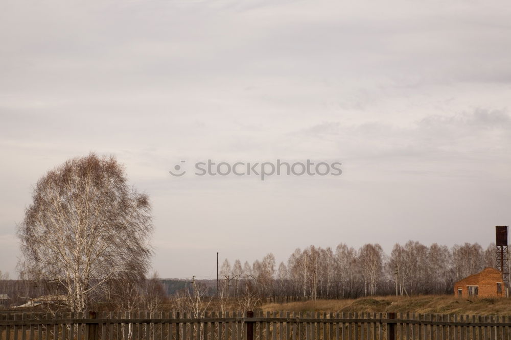 Similar – wasserturm Natur Himmel