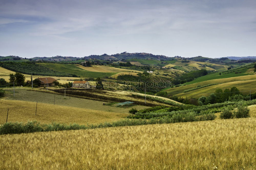 Image, Stock Photo Green spring landscape of Tuscany, Italy.