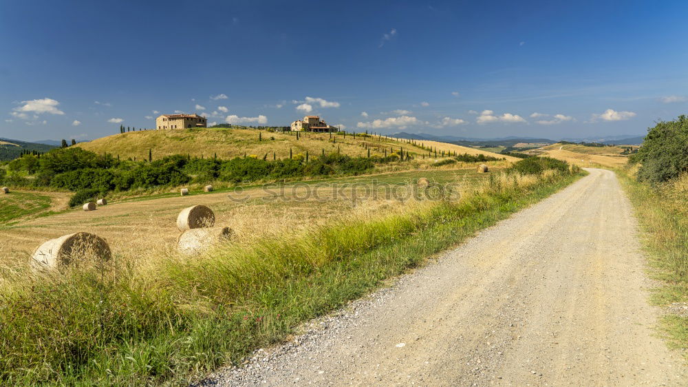 Similar – Image, Stock Photo along the road Environment