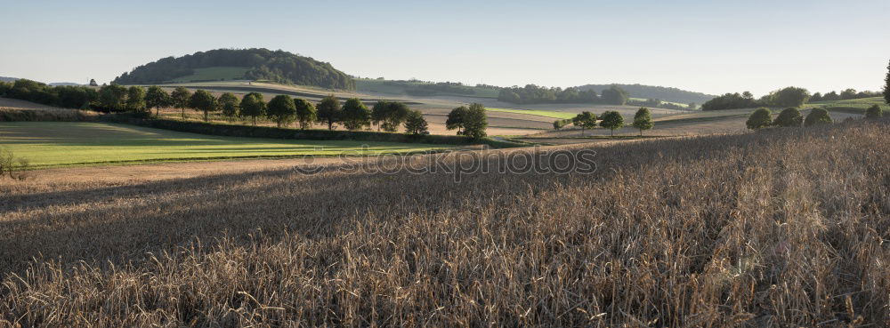 Similar – Image, Stock Photo Beautiful autumn sunny evening panorama. Tatras mountains