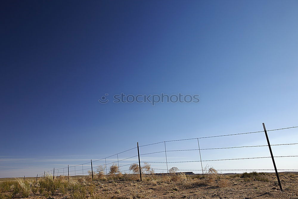 Similar – Image, Stock Photo Viva Bavaria Adventure