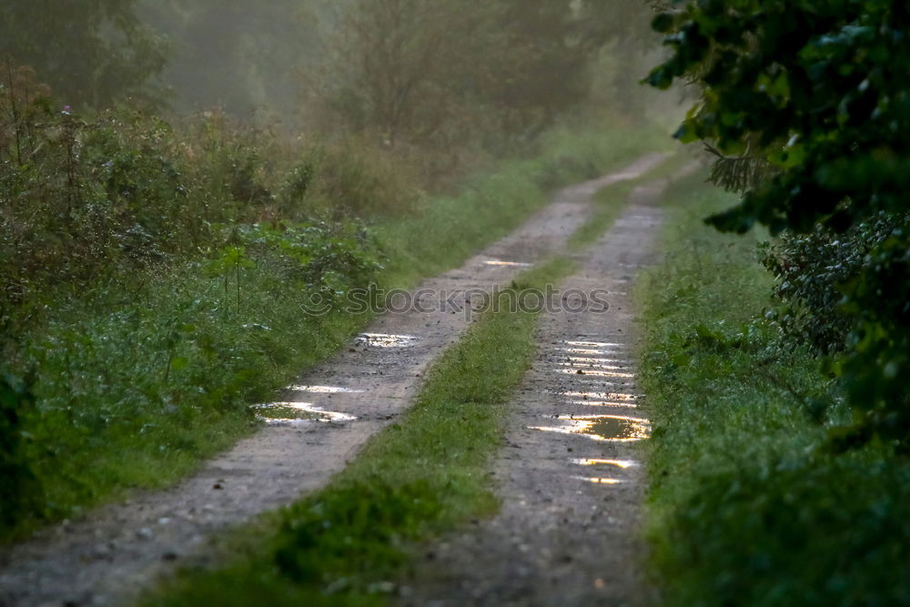 Similar – along the road Outskirts