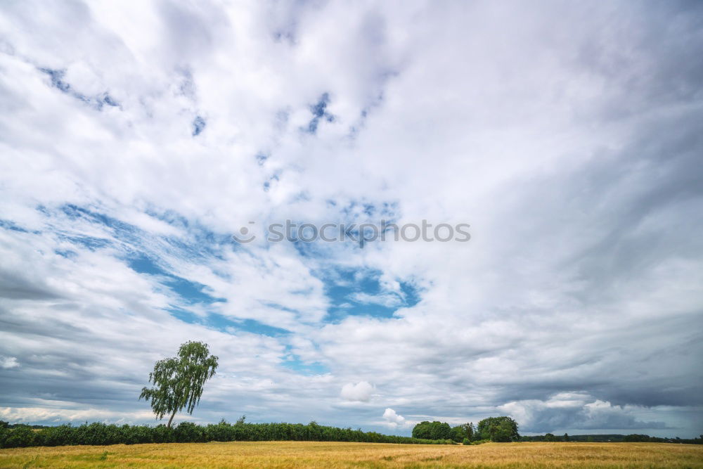 Similar – Agro Natur Himmel Wolken