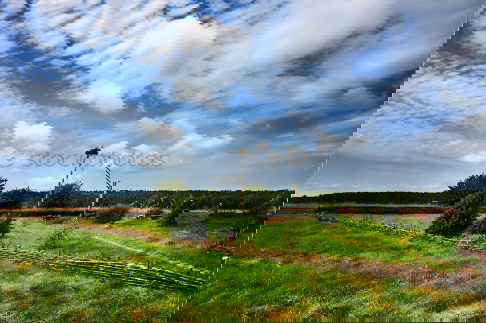 Similar – Image, Stock Photo Lanstroper egg Industry