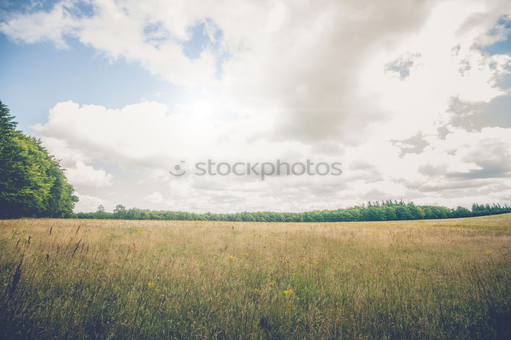 autumn weather Agriculture