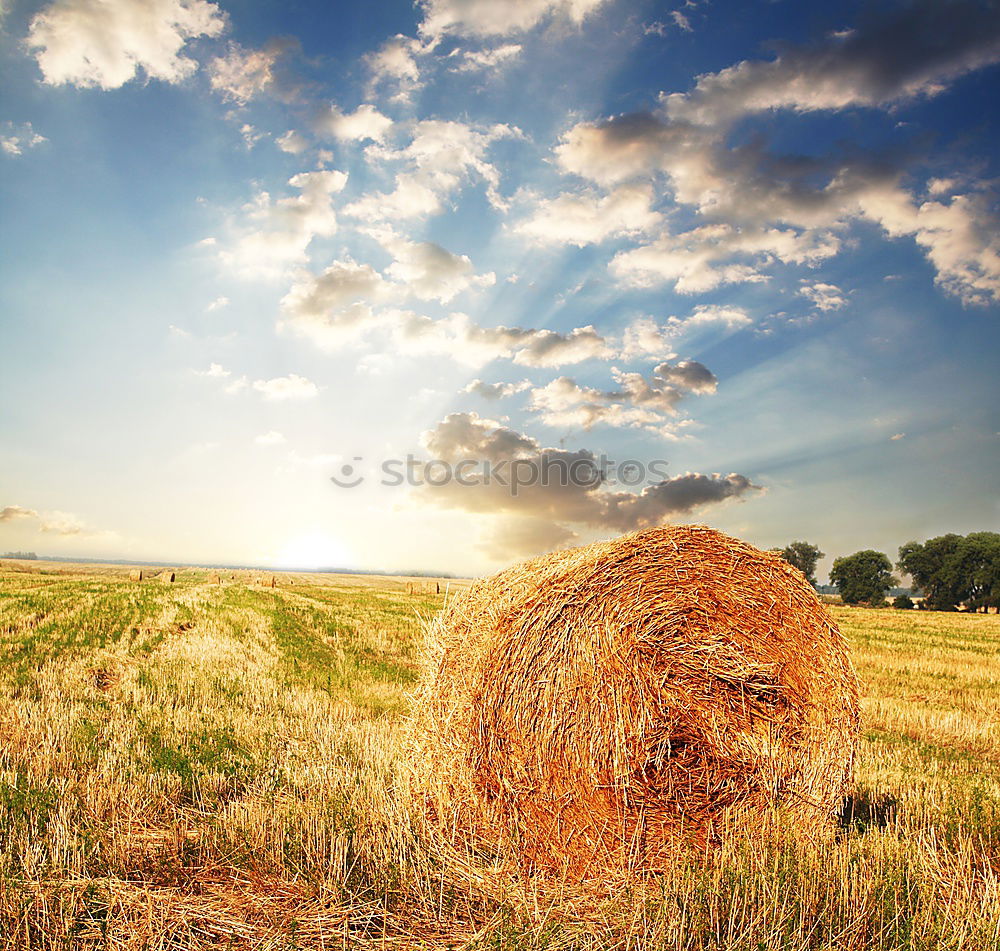 Similar – Landschaftsmaler Feld