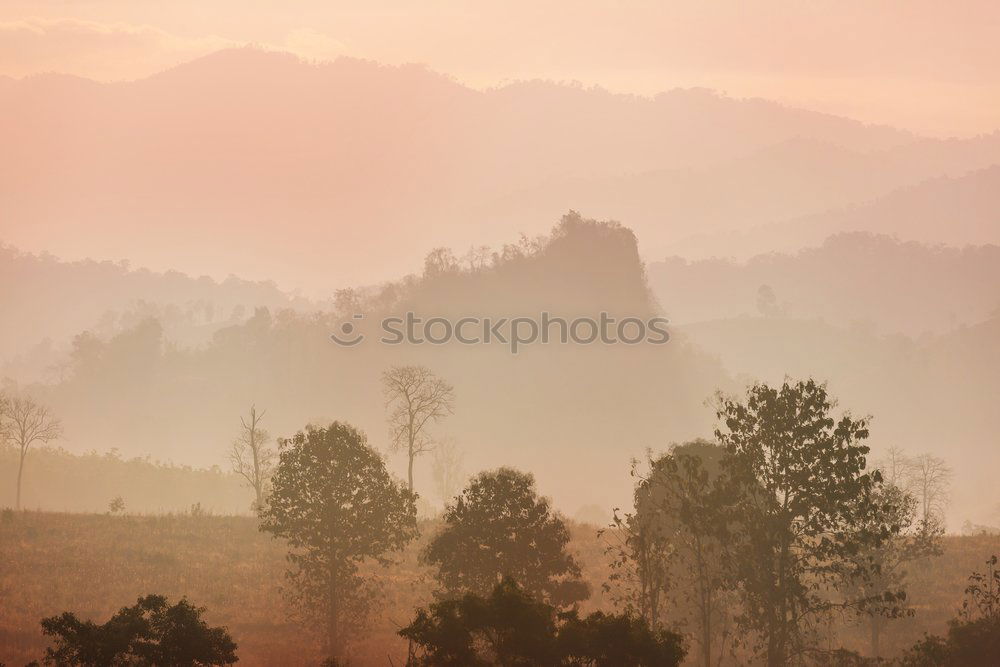 Similar – Beautiful morning for a hike