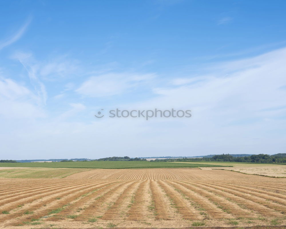 Similar – Image, Stock Photo make an impression Field