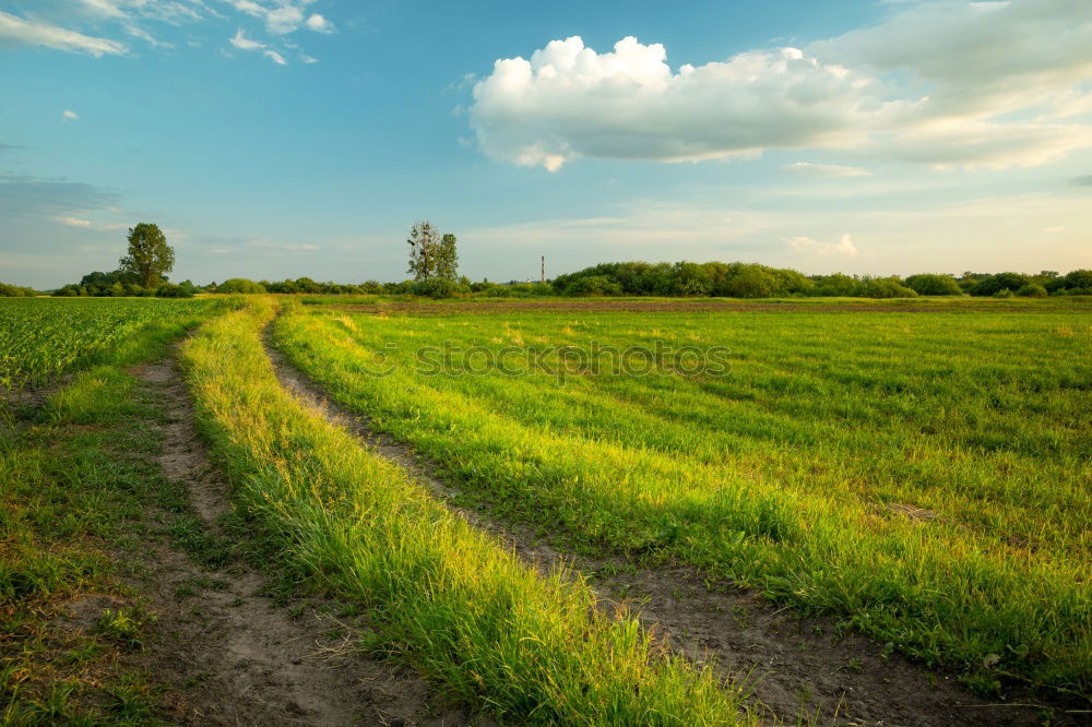 Similar – unsere kleine farm Natur