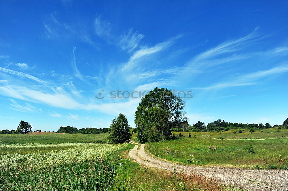 Similar – Pfad zum Himmel Wolken