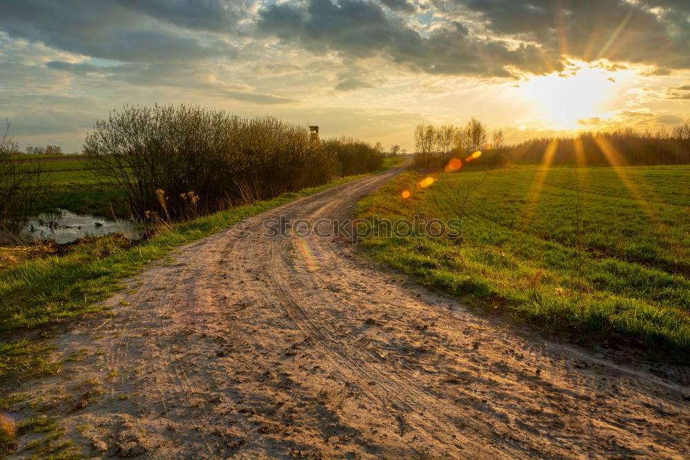 Similar – Sun at the end of a lonely street with a tree