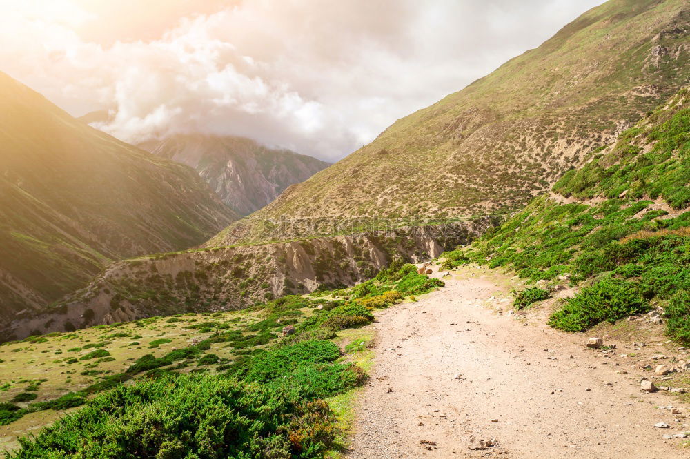 Similar – Image, Stock Photo Mediterranean Hiking Trail