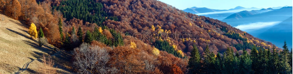 Similar – Autumn in the Rocky Mountains