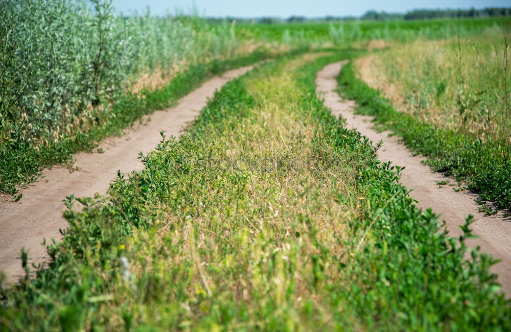 Similar – acre Agriculture Forestry