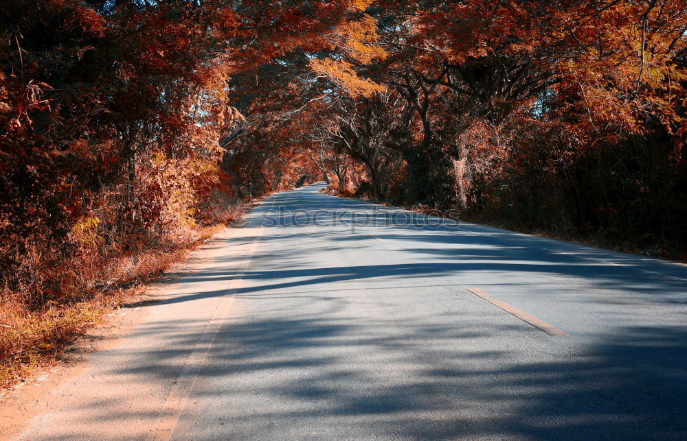 Similar – Road on Kangaroo Island