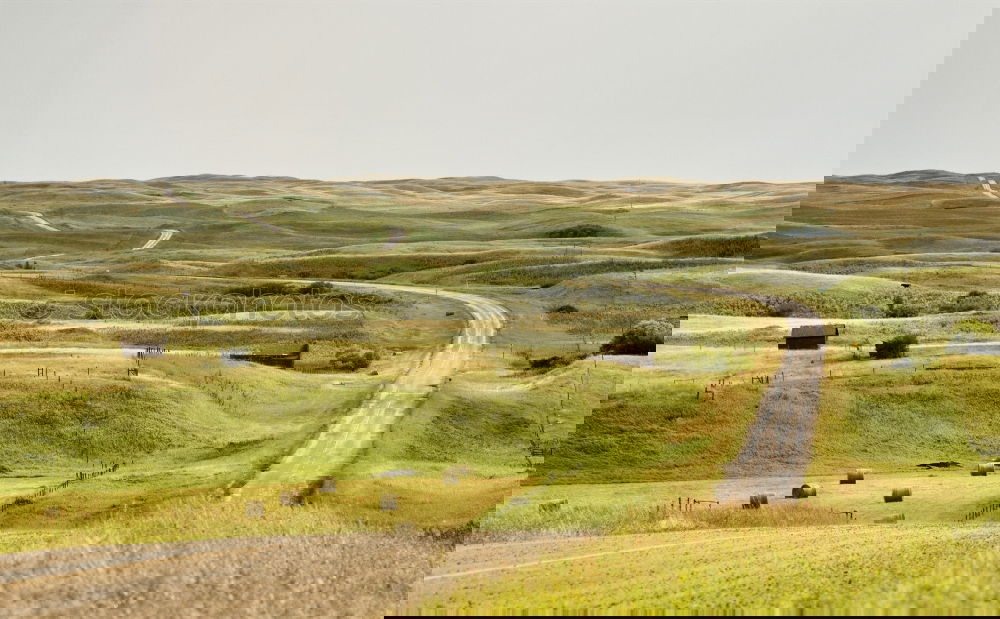 Foto Bild Weg Ferne Meer Natur