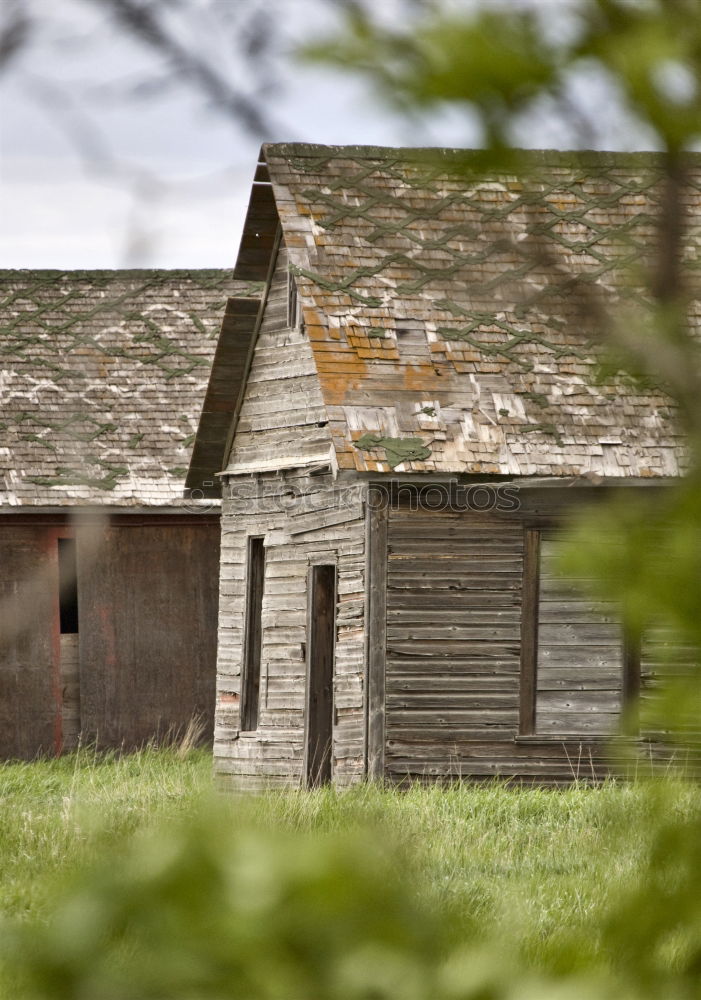 Similar – country life Agriculture