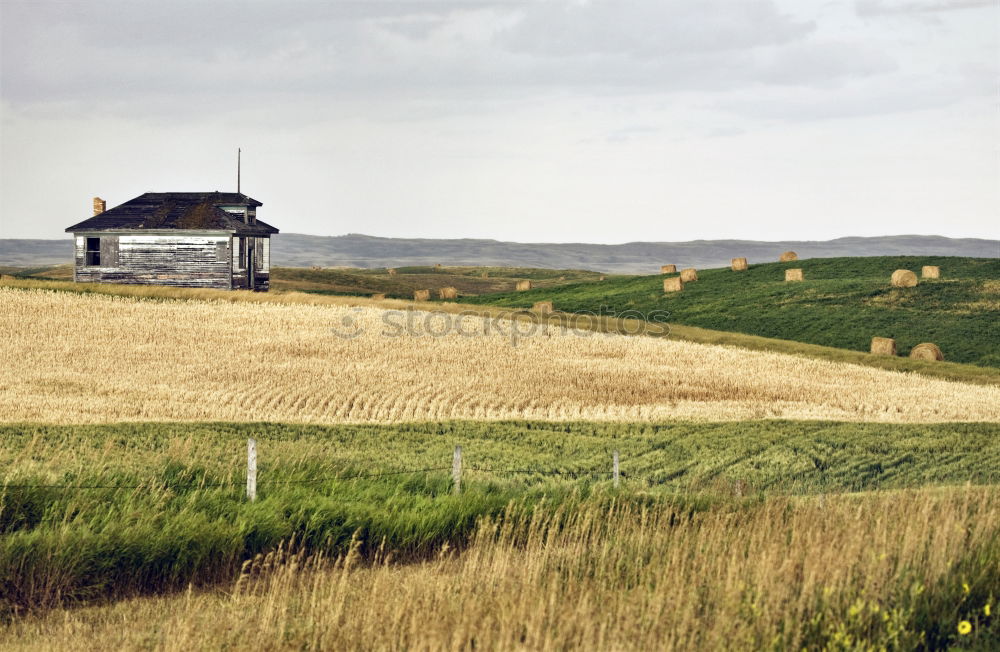 Similar – Tempelhof Field Berlin