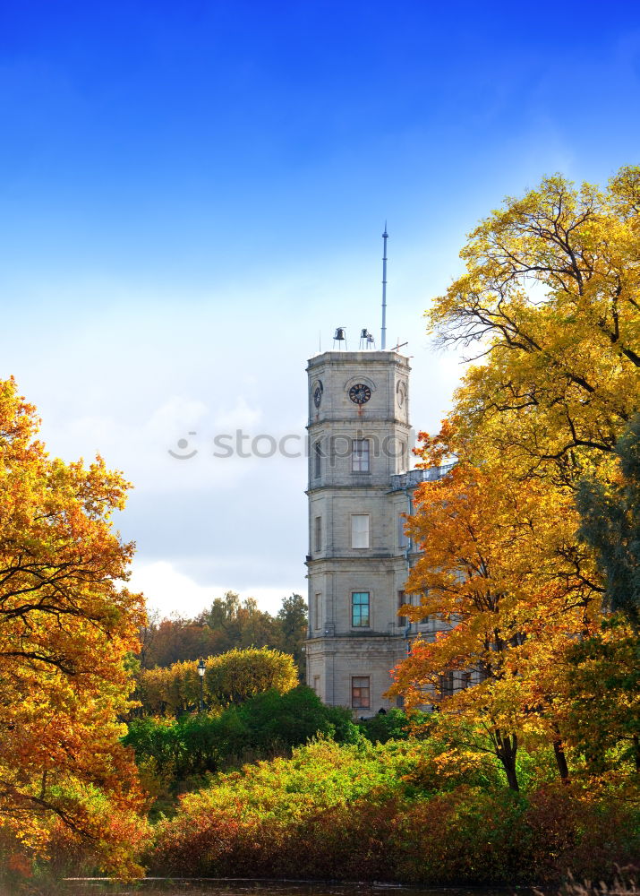 Similar – Dresden Autumn Leaf