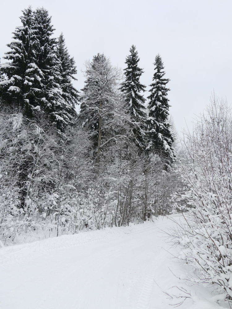 Similar – Image, Stock Photo Winter in the mountains