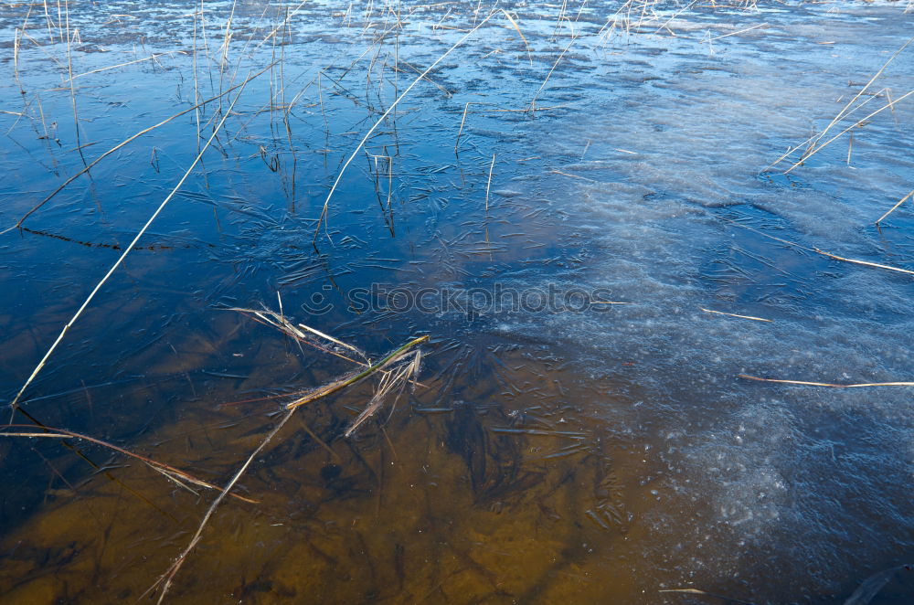 Similar – Wasserwelt I