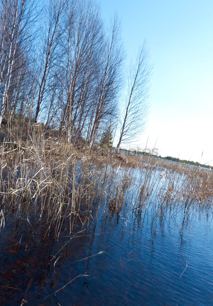 Similar – Mirror, mirror… Lake