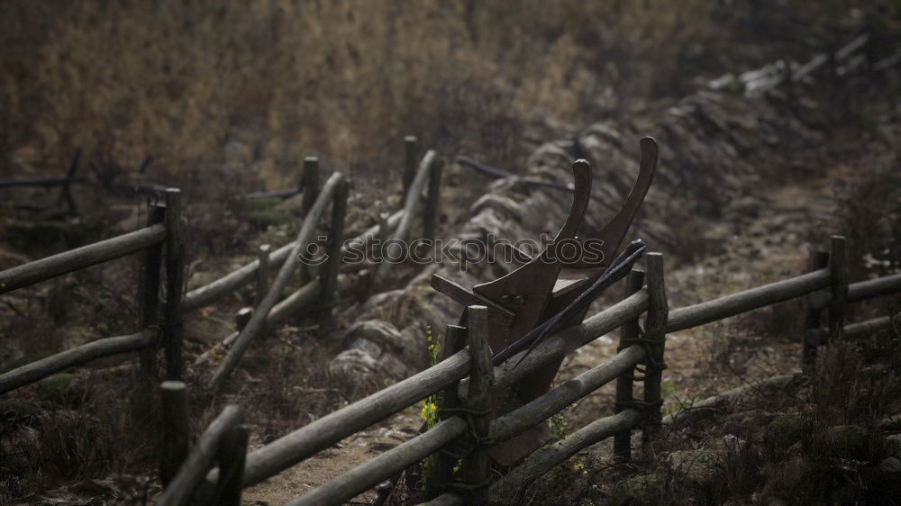 fence Fence Barbed wire