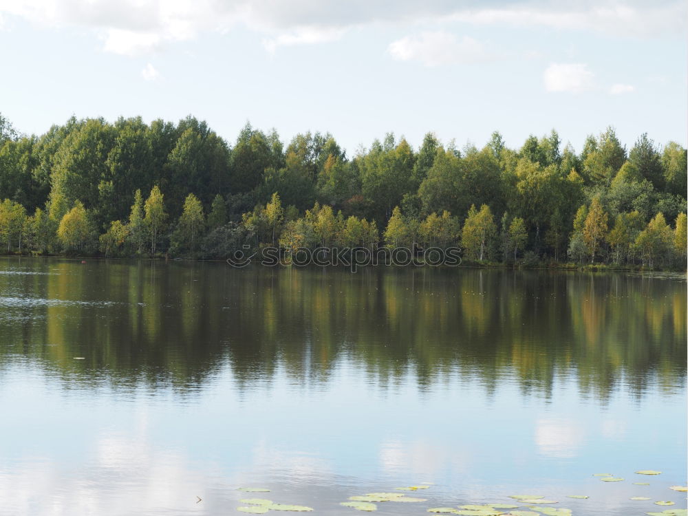 Seelenruhe Wolken Wald