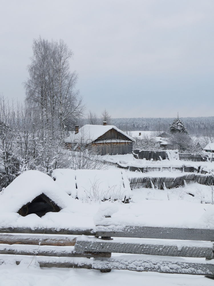 Similar – snow falling on meadows