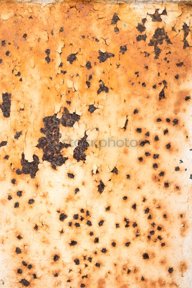 Similar – Image, Stock Photo crumbs Crumbs Cake