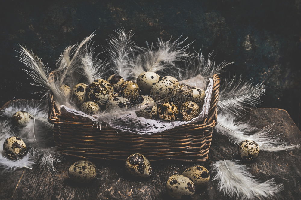 Image, Stock Photo Quail eggs in basket on dark background