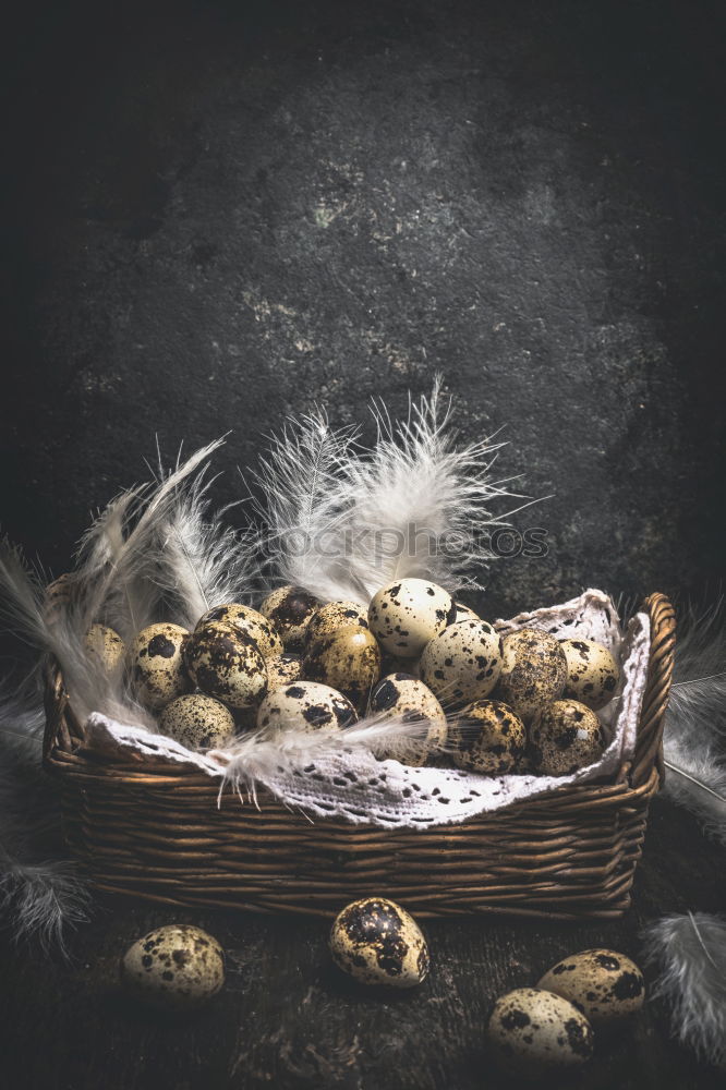 Similar – Image, Stock Photo Tasty baked Panettone on table