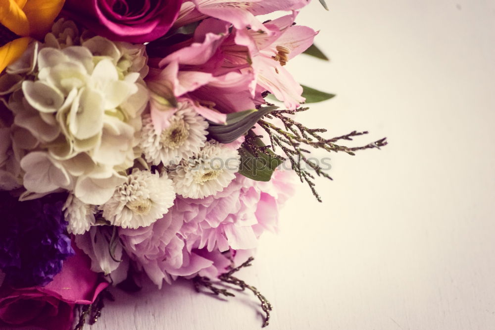 Similar – Image, Stock Photo colorful bouquet