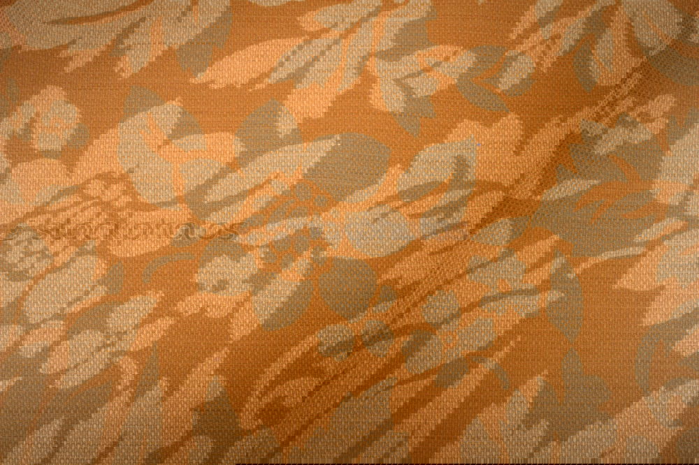 Similar – Image, Stock Photo Is inge still embroidering?
