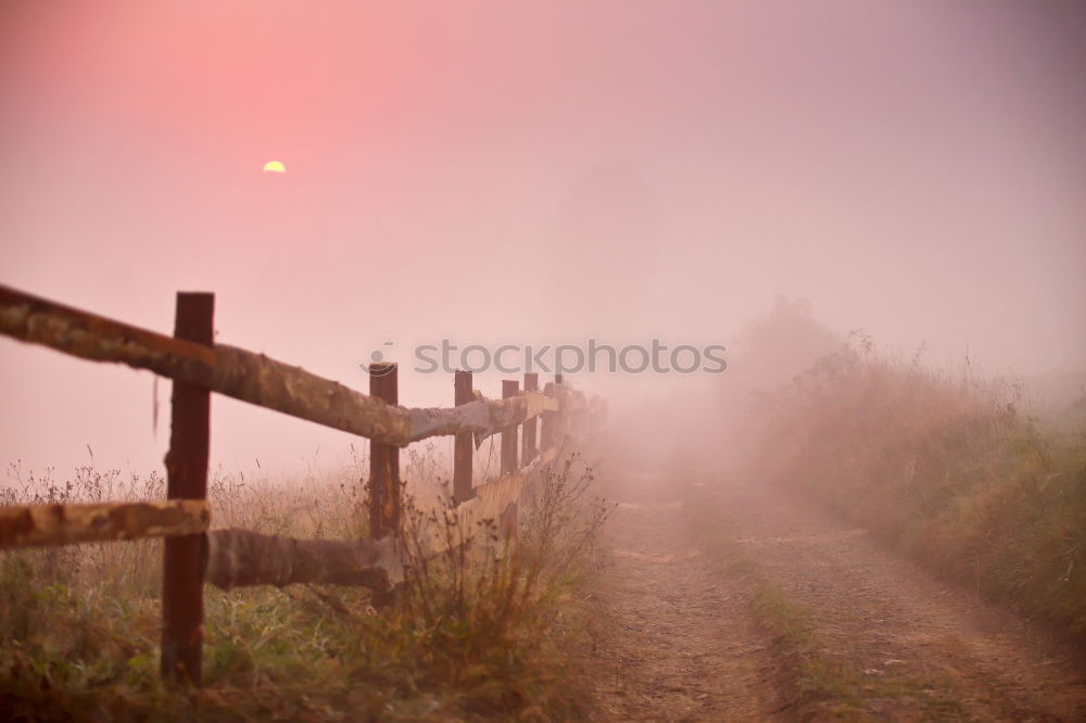 Similar – Morning mood 2 Fog Meadow