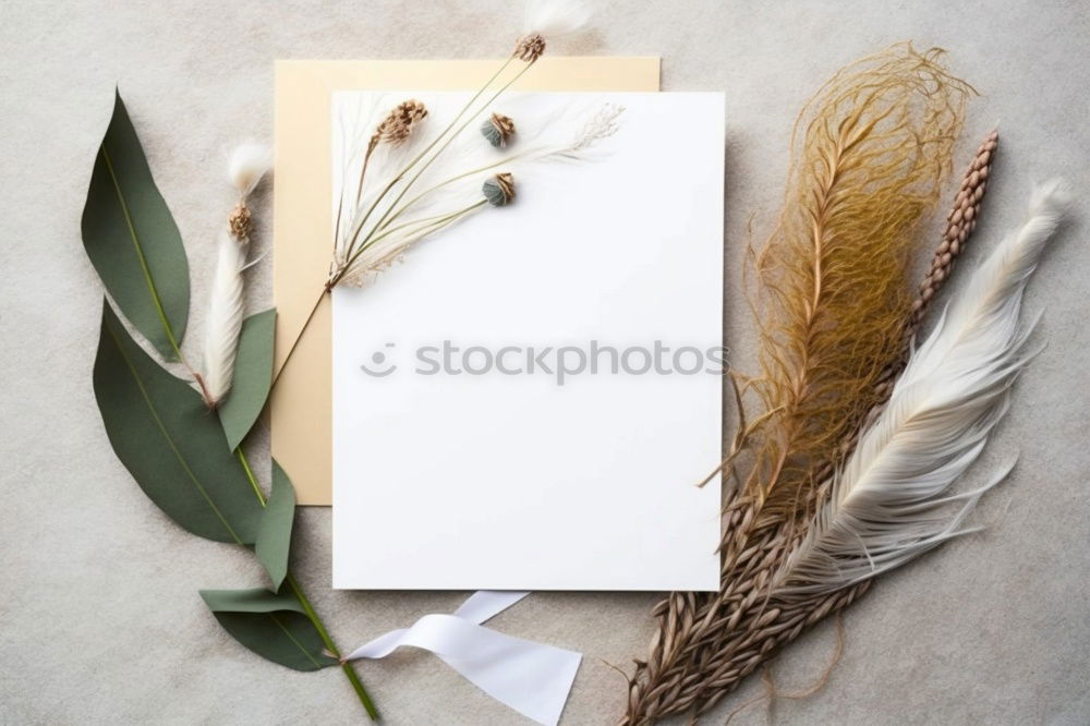 Similar – Image, Stock Photo Welcome to our happy home