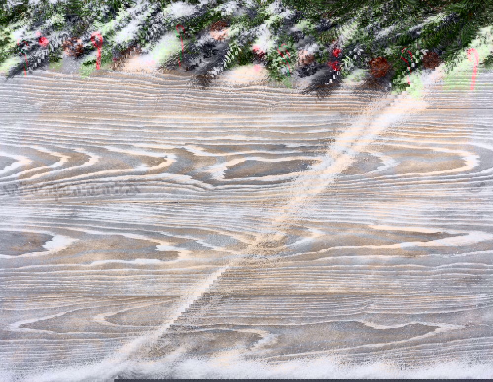 Similar – Image, Stock Photo Yesterday’s Christmas tree