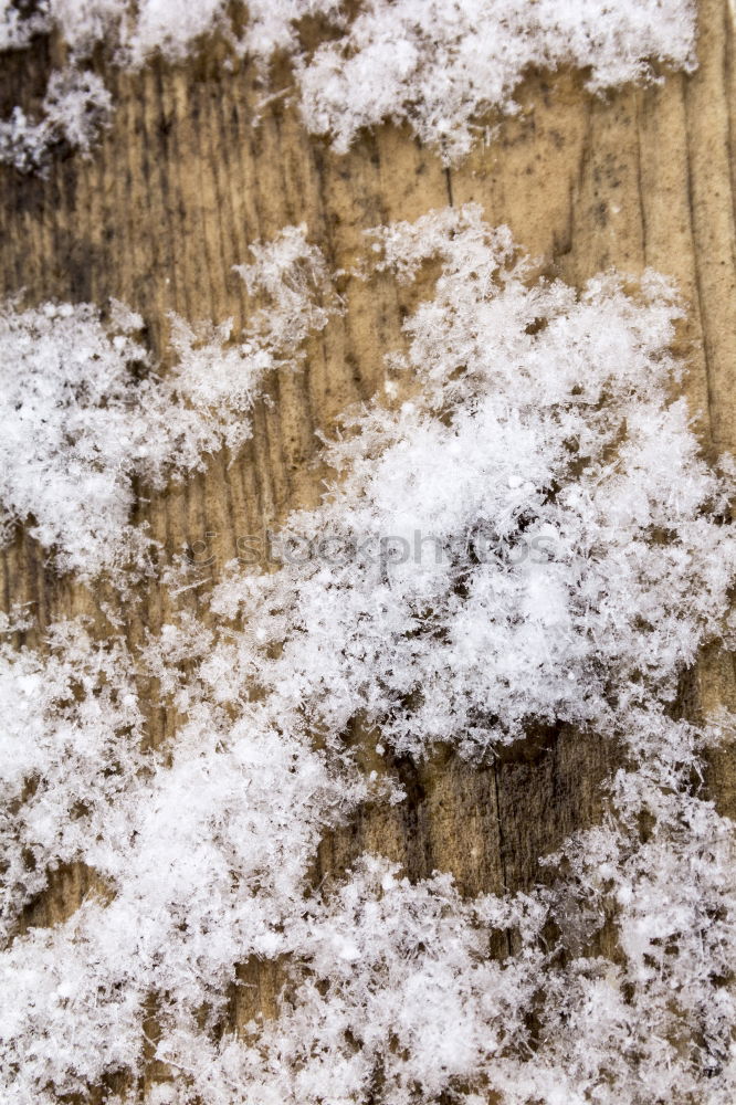 Similar – Painted wooden board or timber covered with snow