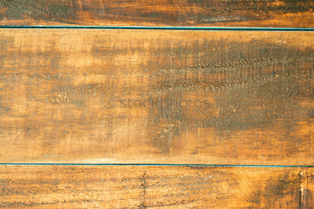 Similar – SEPARATED. Wood Wood grain