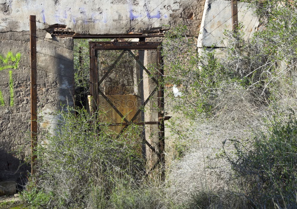 Similar – dilapidated open-air pool, decay