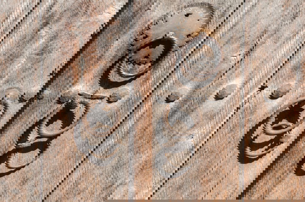 Similar – Foto Bild Schleifchen und Schnörkel