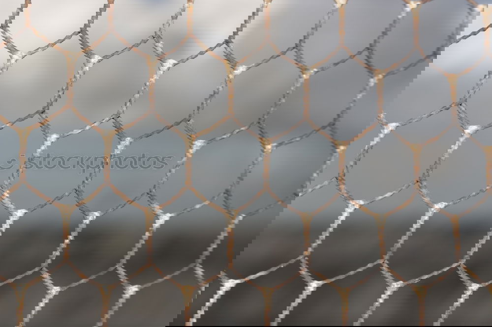 Similar – Image, Stock Photo Hatching glass broken | UT Hamburg