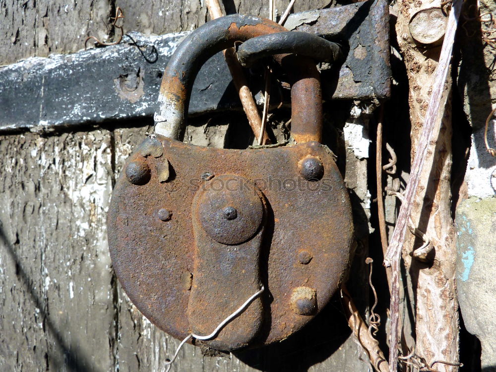 castle Door Closed