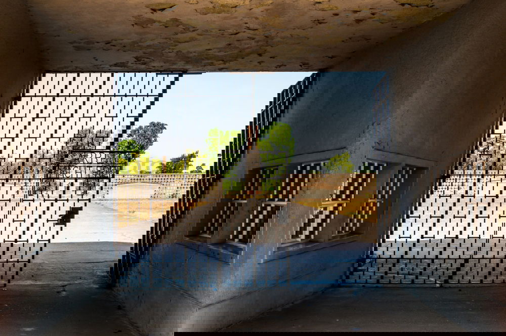 Similar – Foto Bild Lockruf Versuch ködern
