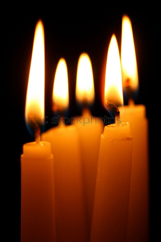 Similar – Image, Stock Photo A match lights the fire of many candles