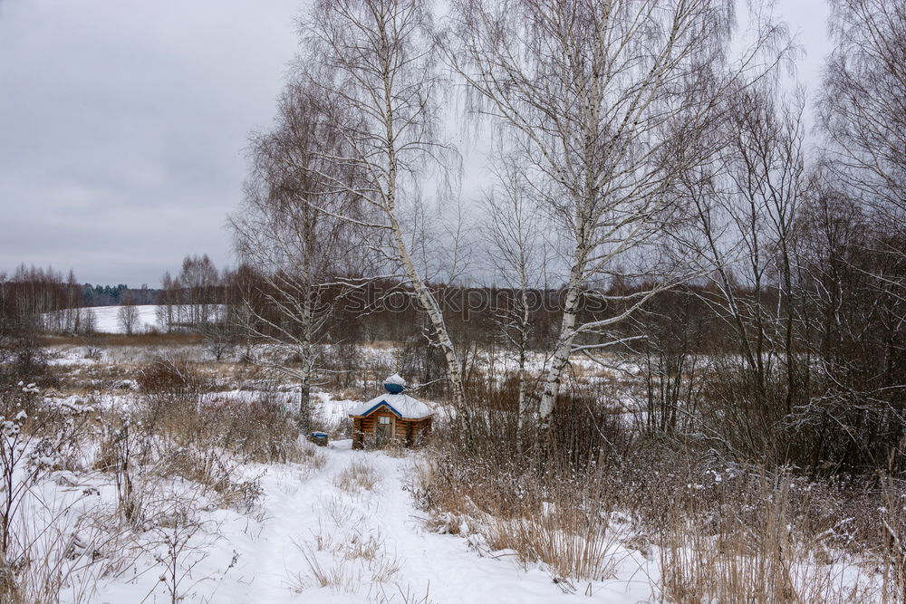 Similar – Foto Bild Denkwürdiger Ort Baum