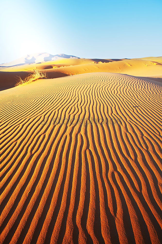 Similar – dunes Nature Landscape