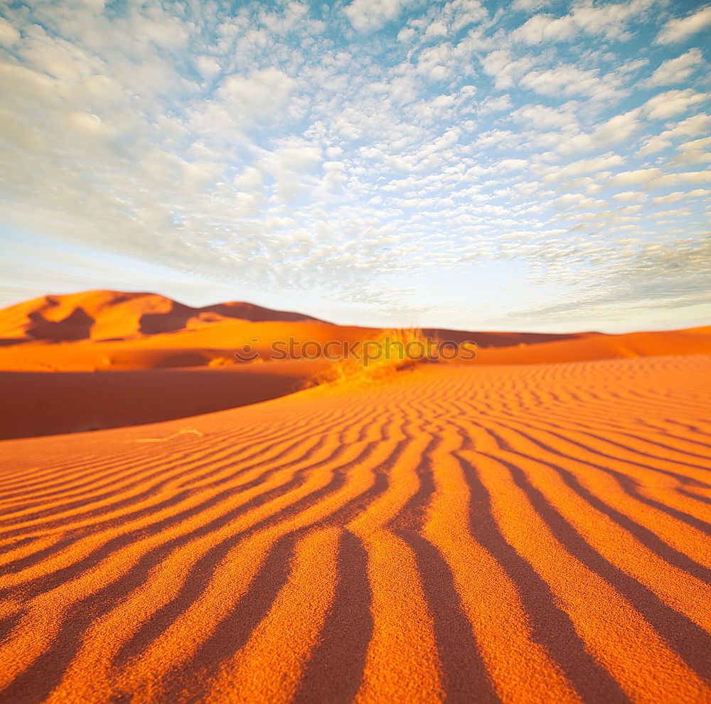 Similar – Image, Stock Photo in oman old desert rub al khali the empty quarter