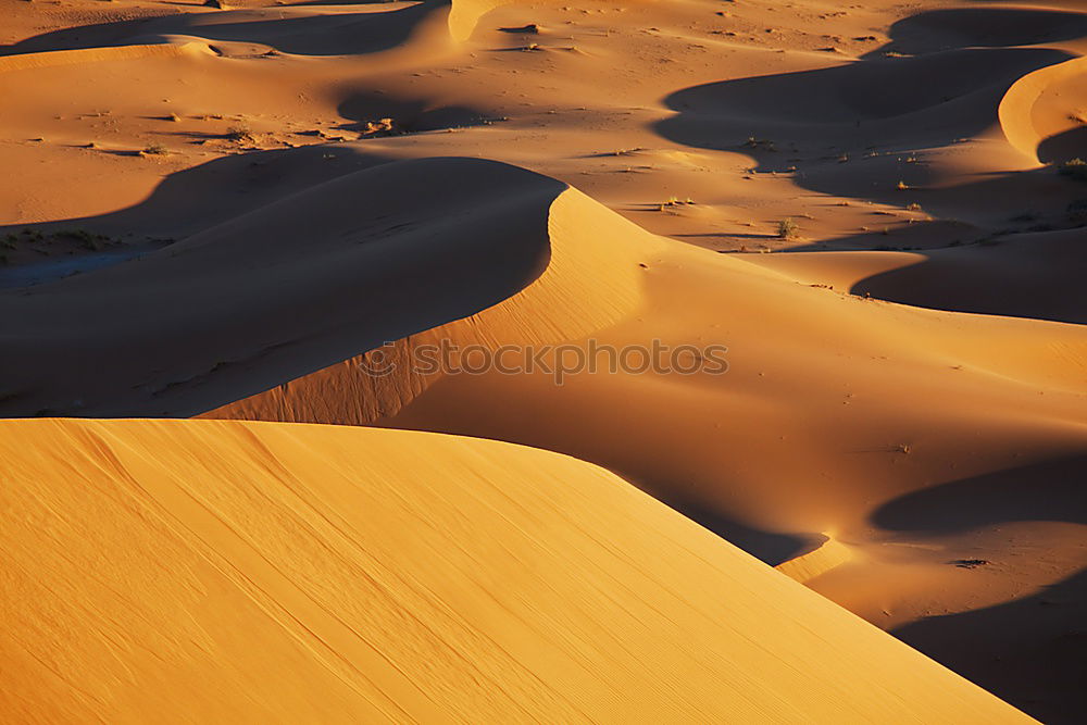 Foto Bild Sahara in Marokko Umwelt